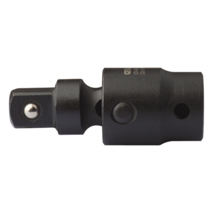 C61-80