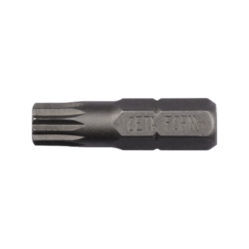 CETA FORM 1/4XZN BİTS UÇ-M8X25MM - CB/858