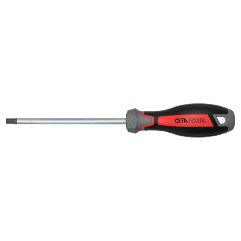 CETA FORM C-PLUS TORX UÇLU TORNAVİDA-T10X80MM - F18-010-080