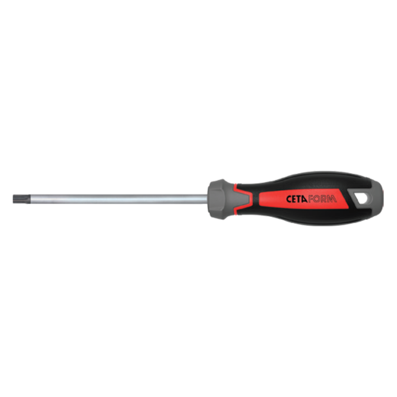 CETA FORM C-PLUS DELİKLİ TORX UÇLU TORNAVİDA-T25X100MM - F19-025-100