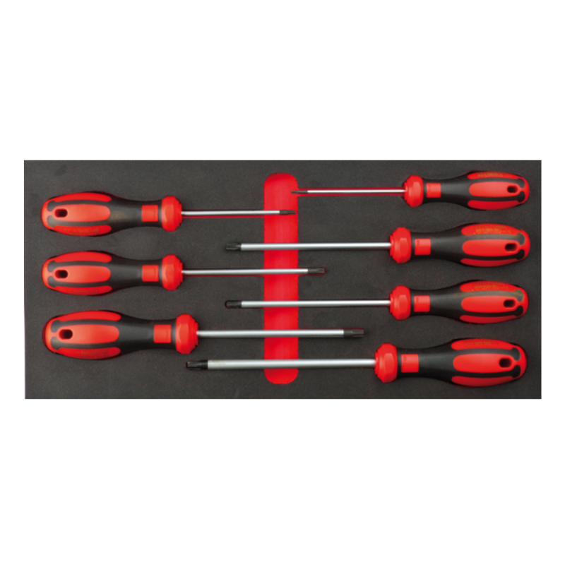 CETA FORM 7 PARÇA C-PLUS TORX TORNAVİDA TAKIMI/EVA'LI - F99-E0705